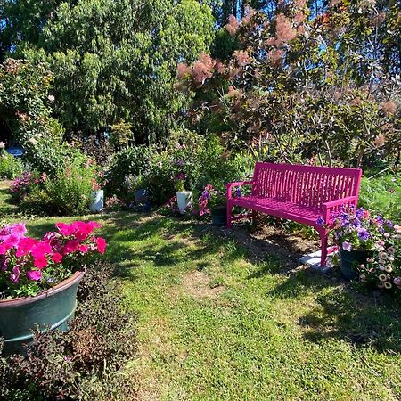 Carterton Korimako'S Nest Garden Studio מראה חיצוני תמונה