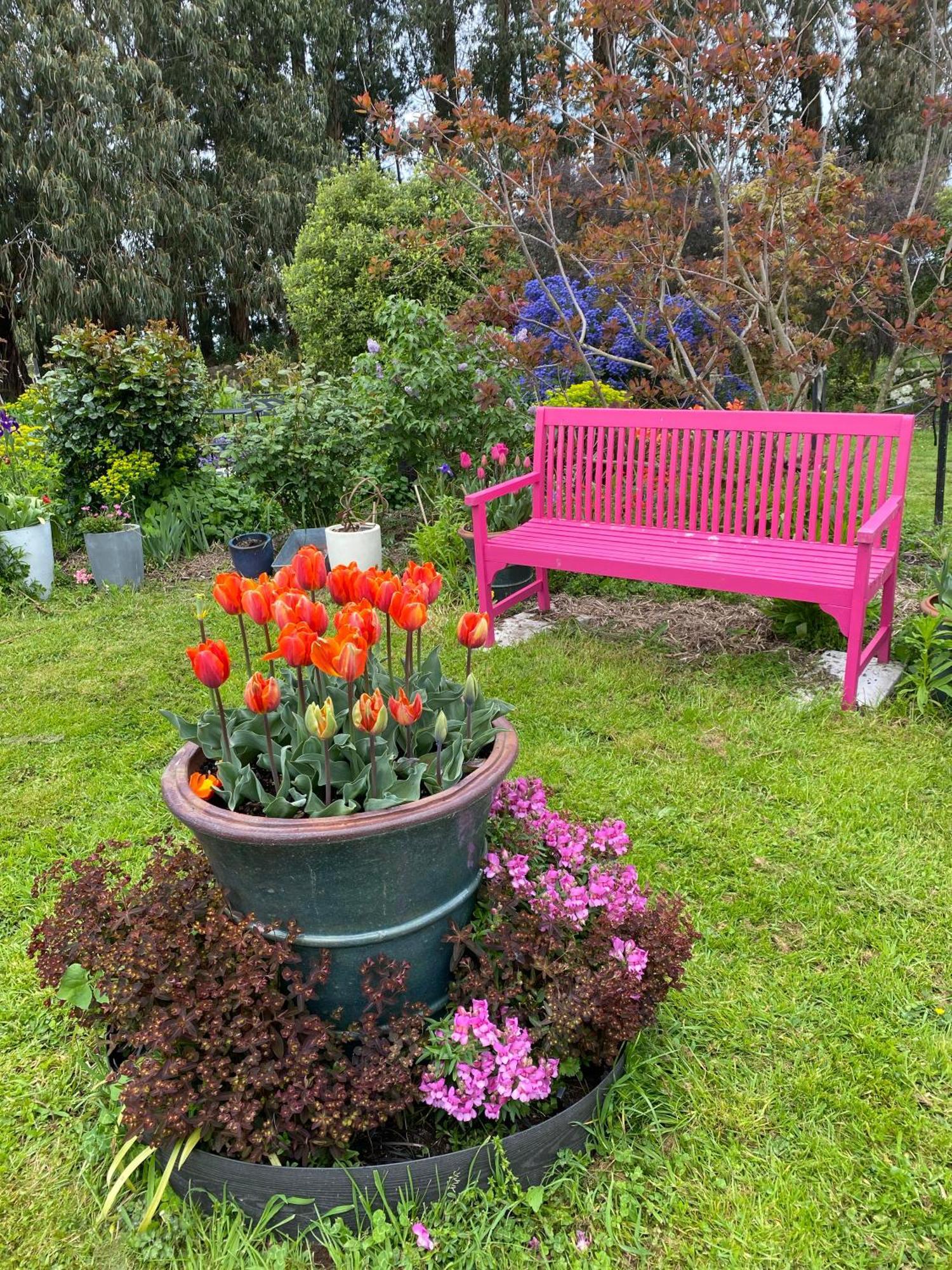 Carterton Korimako'S Nest Garden Studio מראה חיצוני תמונה